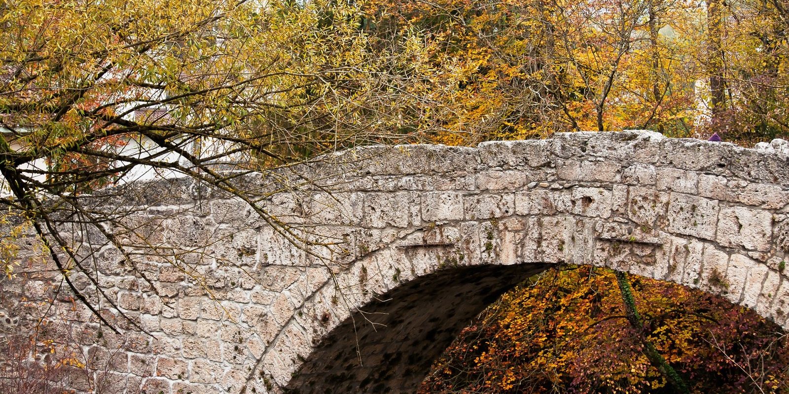 Asamblea GEMME Suiza