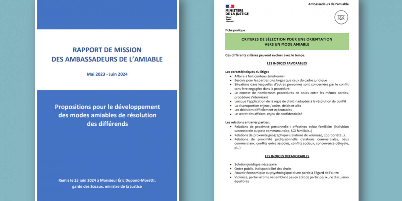 Politique Amiable FR